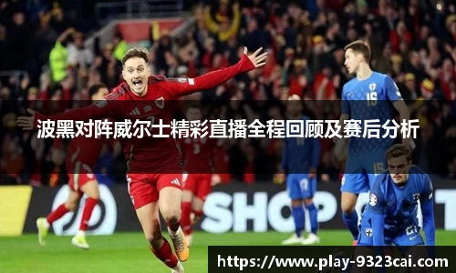 波黑对阵威尔士精彩直播全程回顾及赛后分析